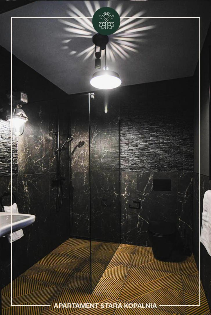 Apartamenty Przy Zamkowej W Walbrzychu Wałbrzych Exterior foto